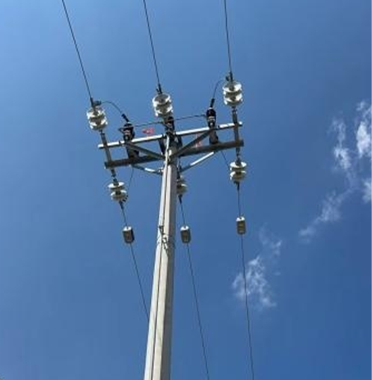 配网线路故障诊断装置